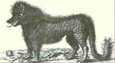 The Beast of Gévaudan.
